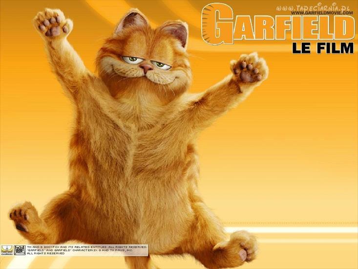 Garfield - Garfield.jpg