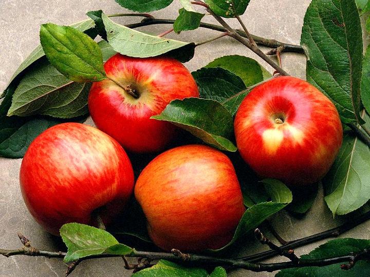 Owoce - jabłka1.jpg