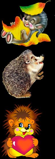 zabawki - PSD.Funny.Hedgehogs.Cliparts.Separate.Layers.png