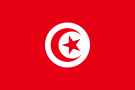 Flagi Afryki - flaga-tunezja.png