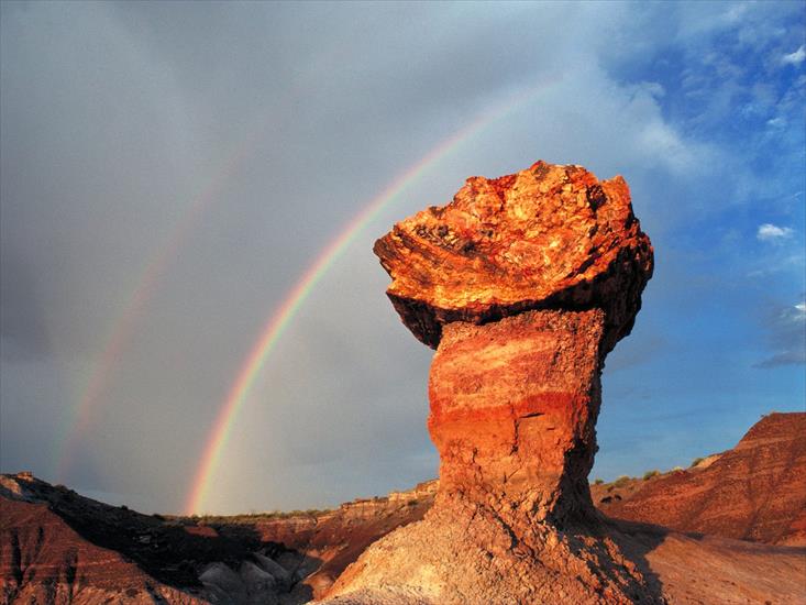 Krajobrazy - Pedestal Log, Blue Mesa, Petrified Forest National Park, Arizona.jpg