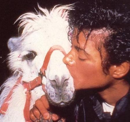 Michael Jackson -Zdjęcia - 1252585011.jpg