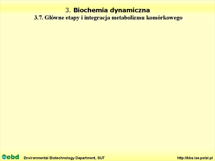 BIOCHEMIA 4- metabolizm tł, cukr, amino, Krebs - Slajd28.TIF