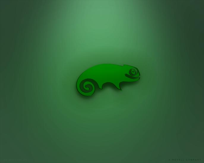 Tapety Linux OpenSuse - SuSE_Linux_1280x1024_Dark_by_Winny_Wallpapers.jpg