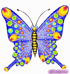 motyle i owady - motyl 12.gif
