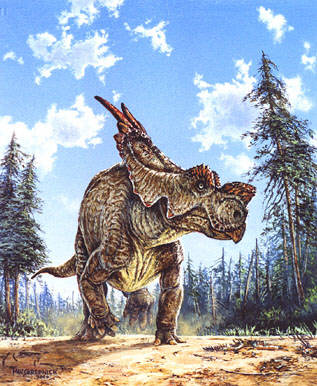 a - ms_Achelousaurus.jpg