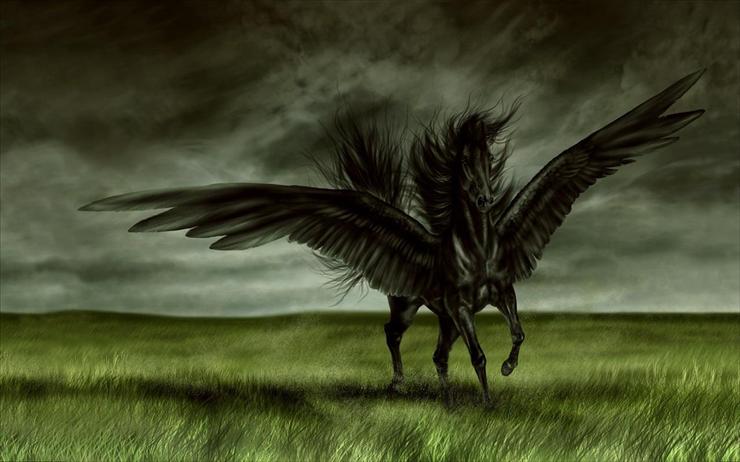 Tapety HD na pulpit - wings_of_a_black_horse-1680x1050.jpg