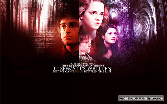Harry Potter - Harry-Potter-harry-potter-13982032-549-343.jpg