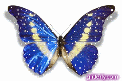motyle i owady - motyl 51.gif