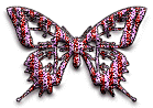 motyle - butterfly-133.gif