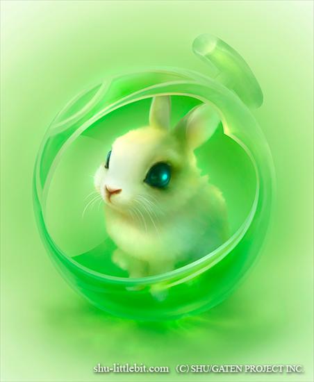 Candy - iCandy rabbit.jpg