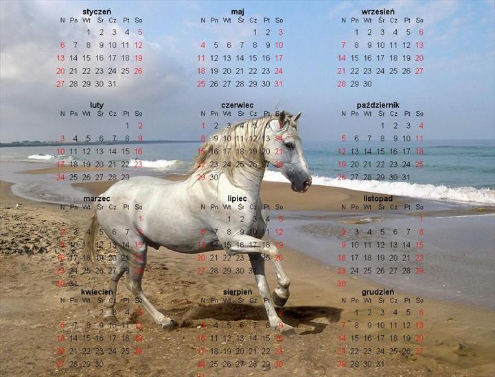 kalendarze - kalendarz.jpg