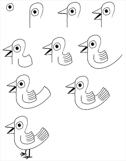NAUKA RYSOWANIA - nauka rysowania ptak.gif