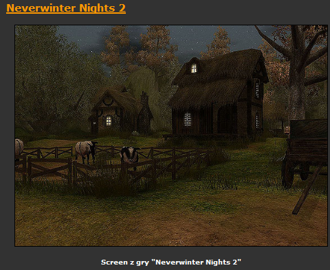 Neverwinter Nights 2  gra PL - ScreenShot015.bmp
