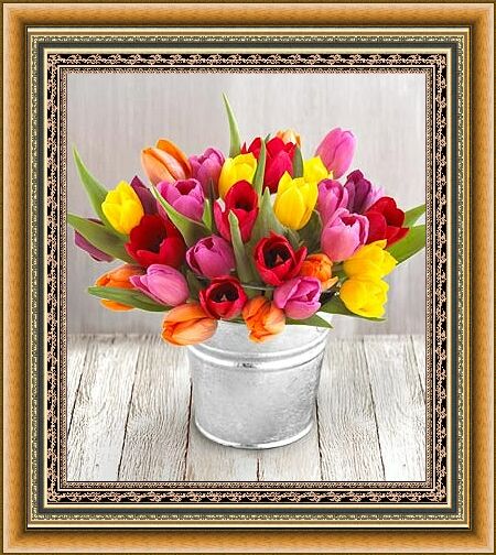 tulipany - tdd.jpg