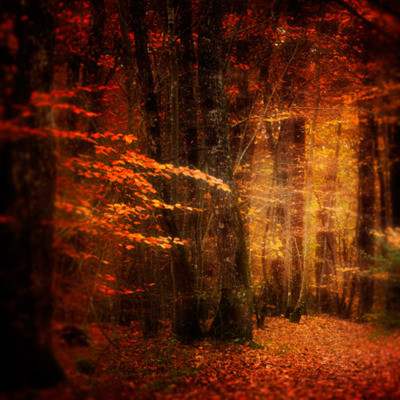 Bajkowa kraina - autumn.jpg