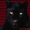 Avatary i sygnaturki - panther avatar 5 04.jpg