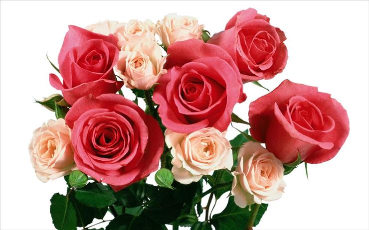  Bukiety róż - Roses1900_2010.jpg