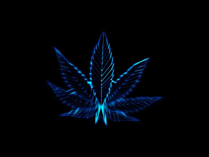 TAPETY RÓŻNE - Electrified_Marijuana_by_neverdying1.jpg