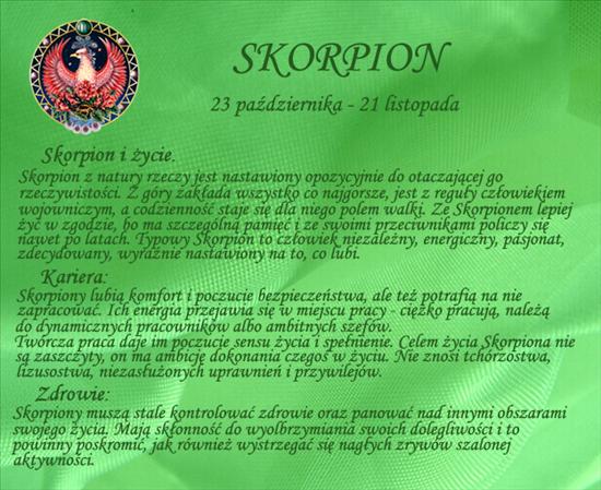  28charakterystyka - skorpion3.jpg