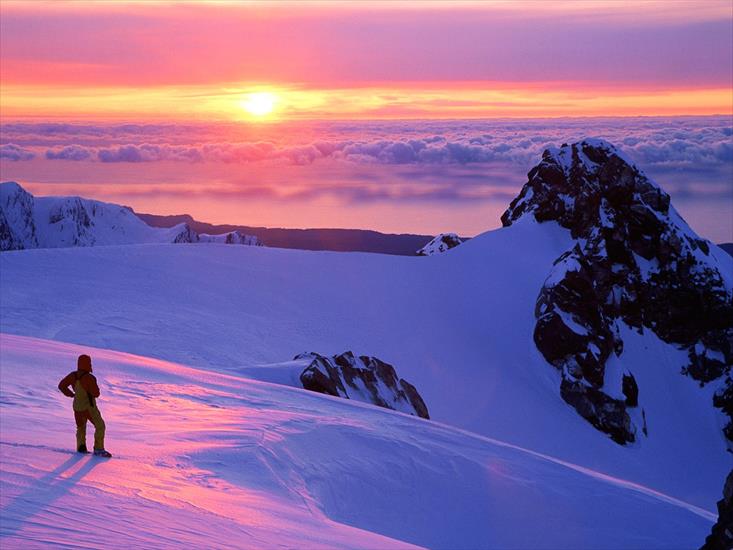 Tapety - Franz Josef Glacier, Westland National Park, New Zealand.jpg