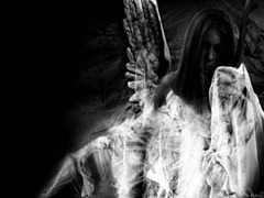 anioły - 210519aniol_struz.jpg