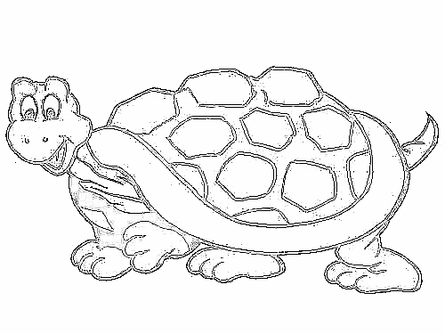 Zwierzaczki - żółw1.gif