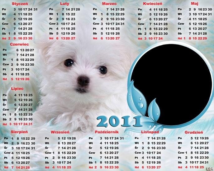1.Kalendarze 2011r - Kalendarz 2011 psiaki2.png