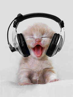 Tapety - kotek słucha muzyki.gif