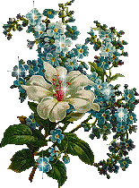 bukiety kwiatów - ChomikImage.aspx.gif97.gif