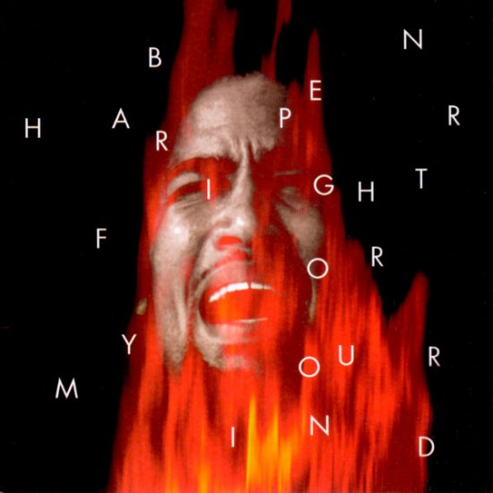 Ben Harper - Fight For Your Mind 1995 - cover.jpg