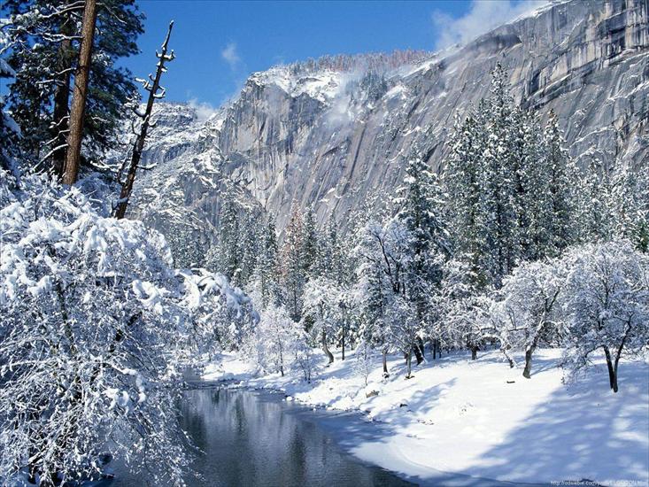 Widoki - X_Snow Flocks Yosemite National Par.jpg