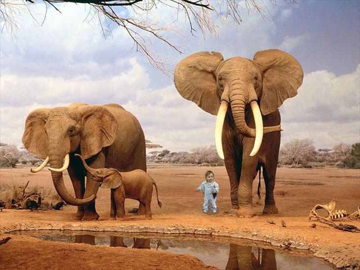 Moja rodzina - słoń z Karolkiem.jpg