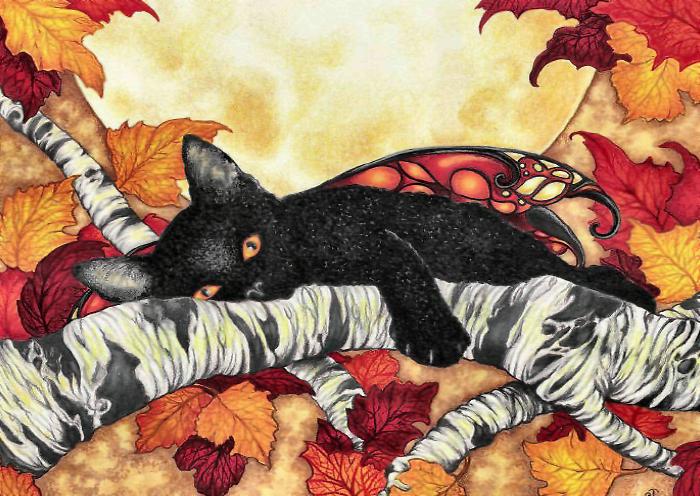Koty - Stacey Tippin - Black Cat.jpg