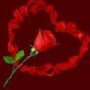 Tapetki na komórkę - Serce i róża.jpg