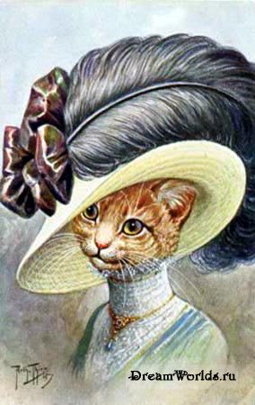 8.Koty w kapeluszach - CatHat.jpg