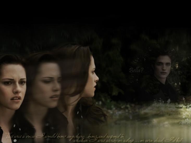 Edward i Bella razem - 000263New-Moon-twilight-series.jpg