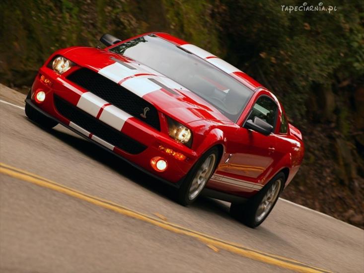 Tuning - 6403_shelby_ford_mustang.jpg