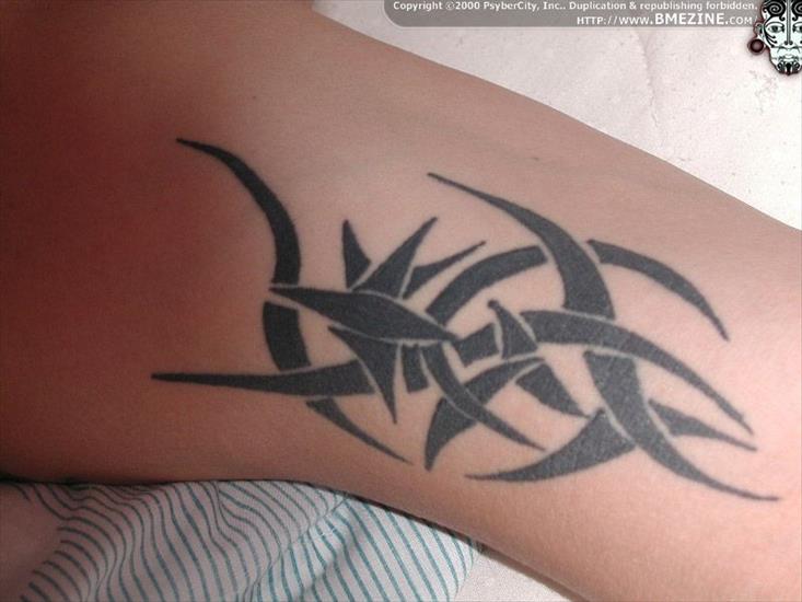tatuaże- - Tatuaże 325.jpg