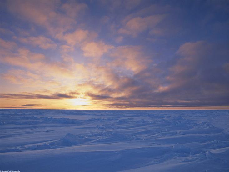 Natura v3 - Arctic Ice Pack at Sunset, Canada.jpg