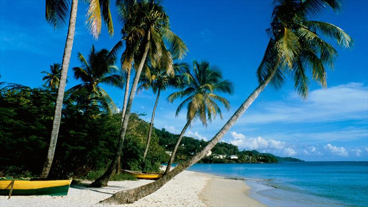 Krajobrazy - Grand Anse Beach, Grenada.png