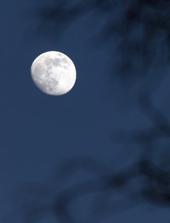 Moon - luna.jpg