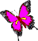 gifki i jpg-rozne - motyl zmieniajacy kolorki.gif