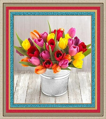 tulipany - tbb.jpg