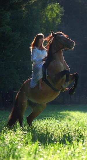 Konie - fsr.jpg