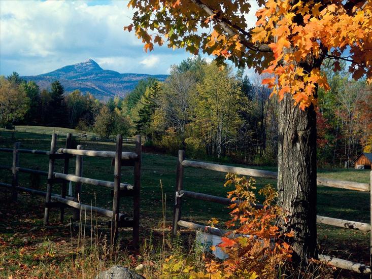 barwy jesieni - Chocorua Mountain, Chocorua, New Hampshire - 160.jpg