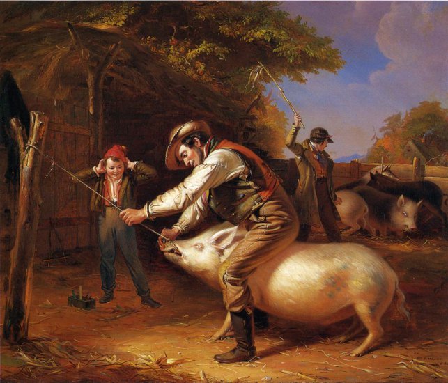 Mount William Sidney - Ringing the Pig.jpg