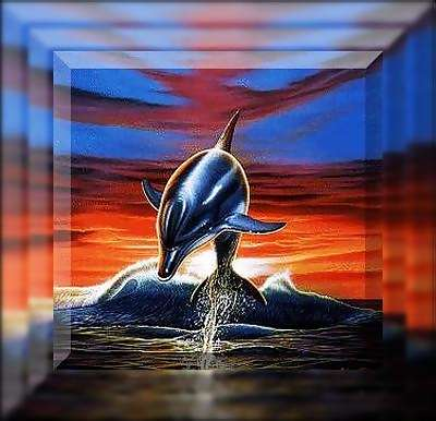 delfinki - untitledgf.bmp