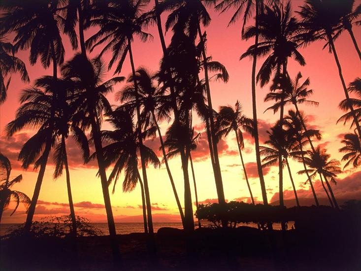 Tropical Paradise Wallpapers - Hawaiian Sunset, Hawaii.jpg