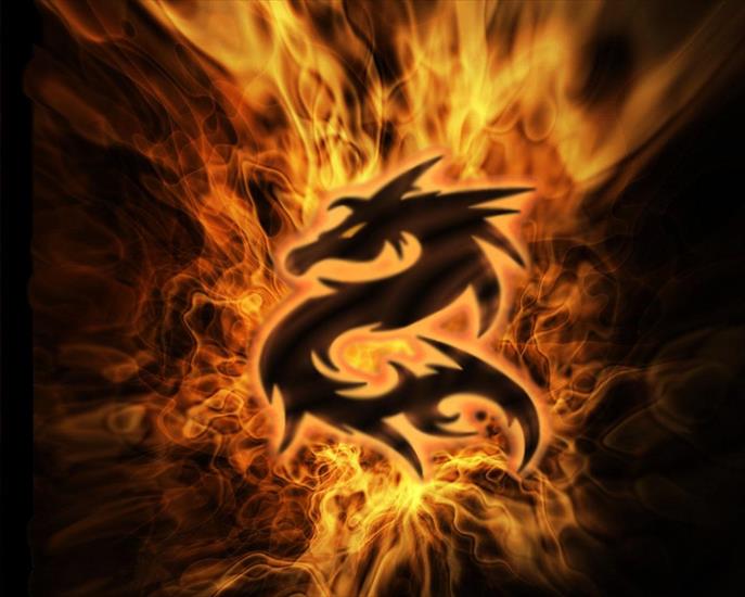 Różne - fire_dragon.jpg